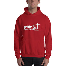 Load image into Gallery viewer, Hooded Sweatshirt